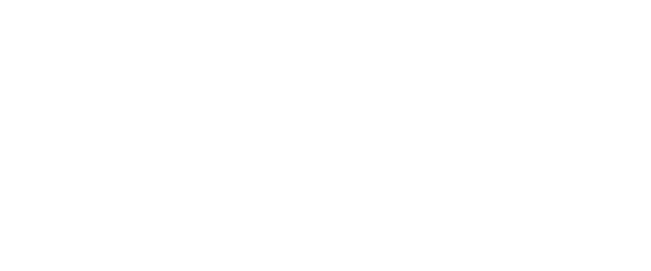 shopify plus partner agency online shop system ecommerce